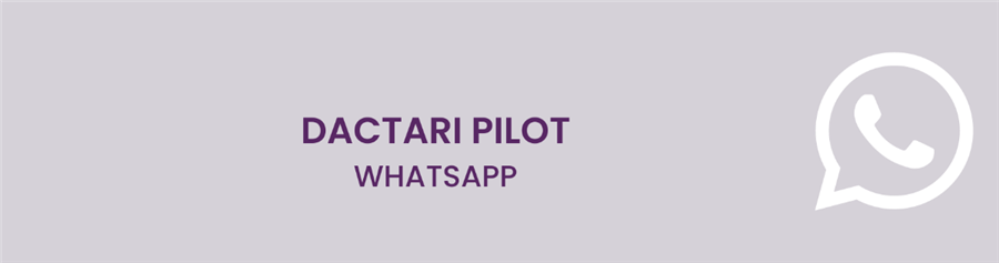 Bericht Whatsapp pilot bekijken
